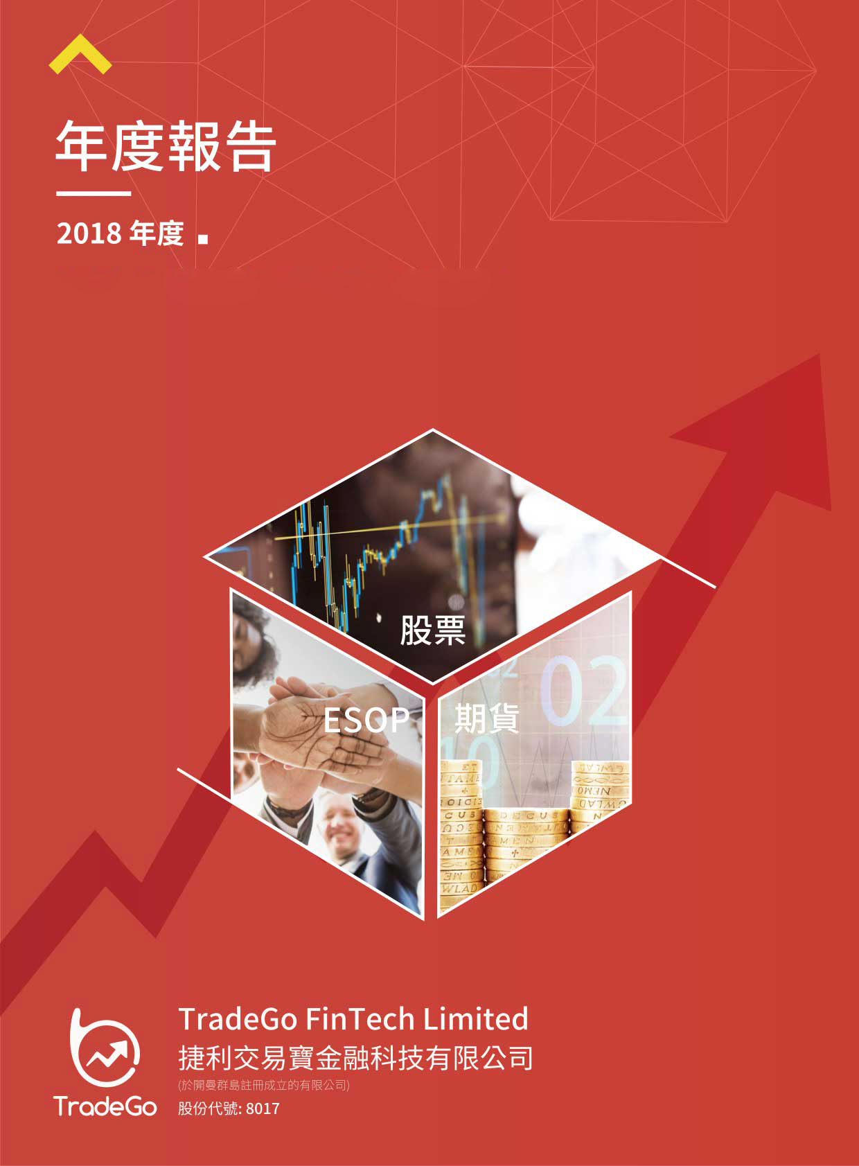 2018-2019年度报告
